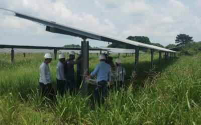 Parque Solar Tucanes – Grenergy